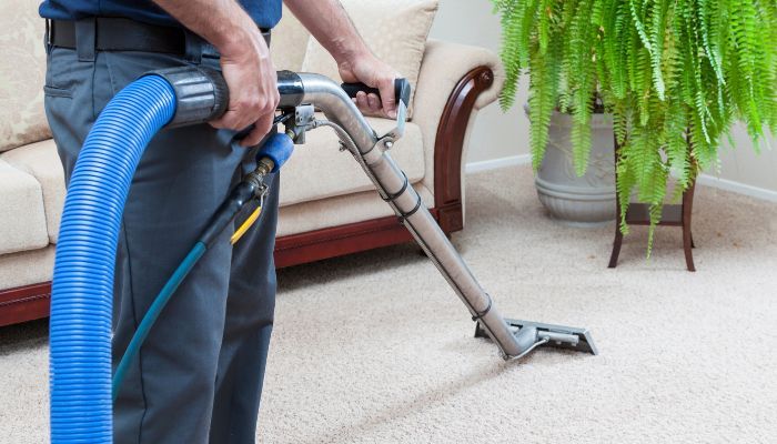 How To Choose The Right Carpet Cleaner