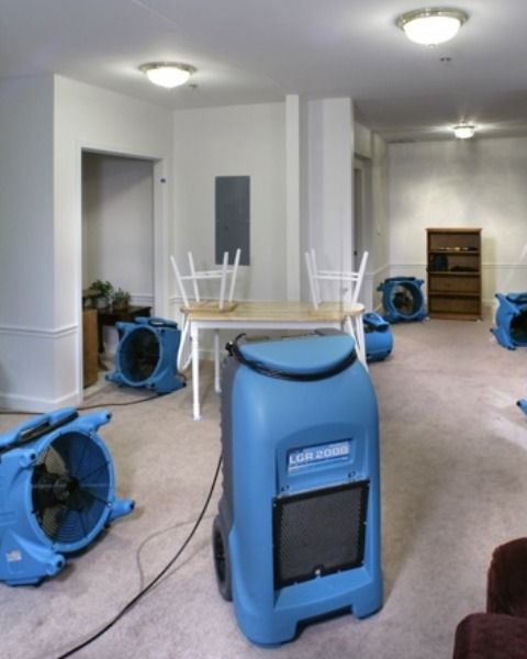 best emergency water removal ladd-hill or