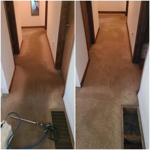 commercial carpet cleaning Banks, OR results 3