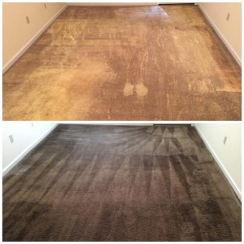 carpet dyeing and color matching Lake Oswego, OR results 2