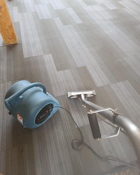 commercial carpet cleaning Cedar Mill, OR