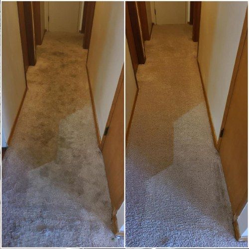 commercial carpet cleaning Milwaukie, OR results 1