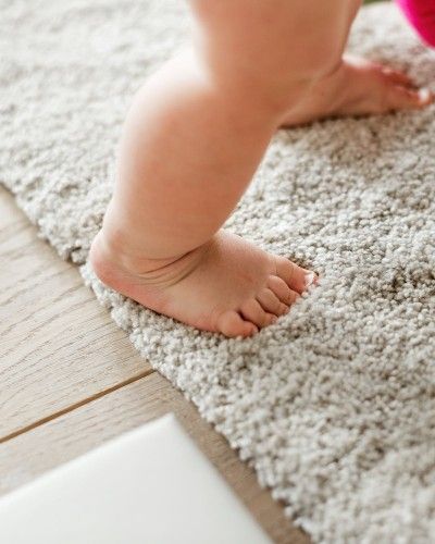 best carpet cleaning in Portland, OR