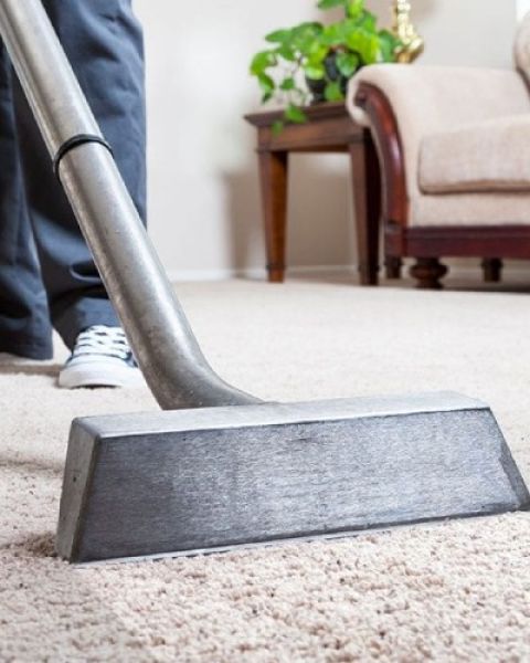 carpet cleaning in portland or