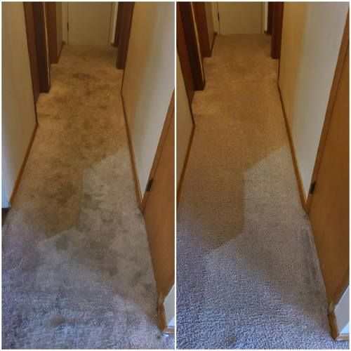 carpet cleaning in protland or results 2