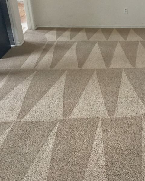 best carpet cleaning West Linn, OR