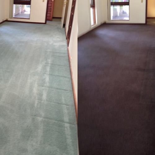 carpet dyeing and color matching Portland, OR results 1