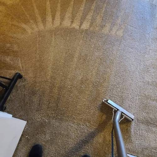 carpet cleaning Burlington, OR results 2
