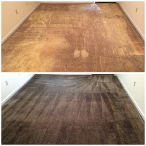 carpet dyeing and color matching Molalla Prairie, OR results 2