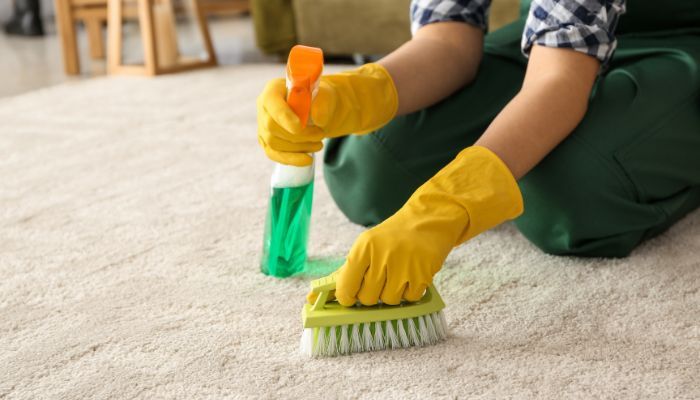 The Best Ways To Maintain Your Carpet's Appearance