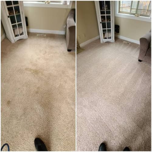 carpet cleaning in protland or results 1